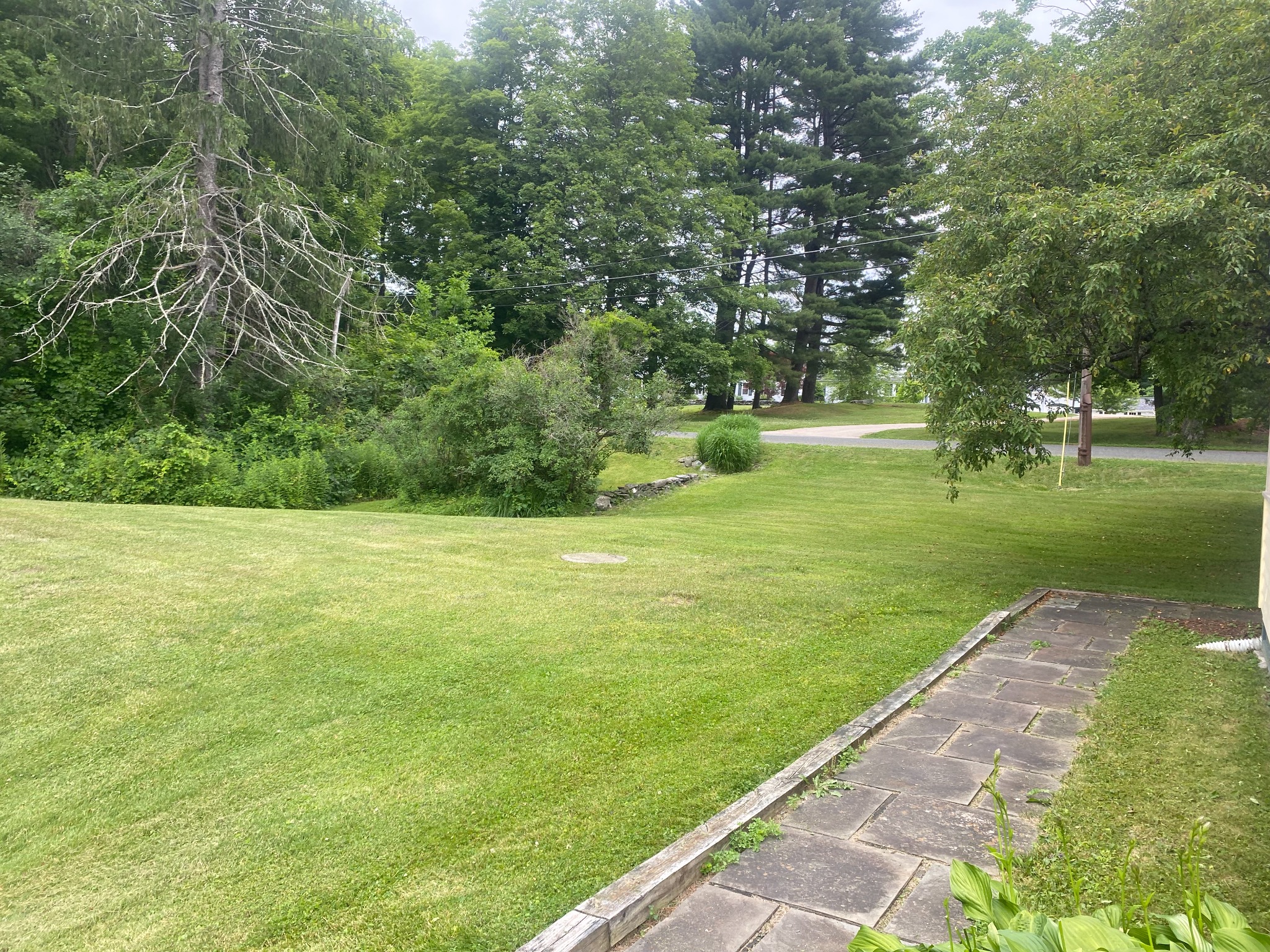 Maintained front lawn beside stone walkway and trees
