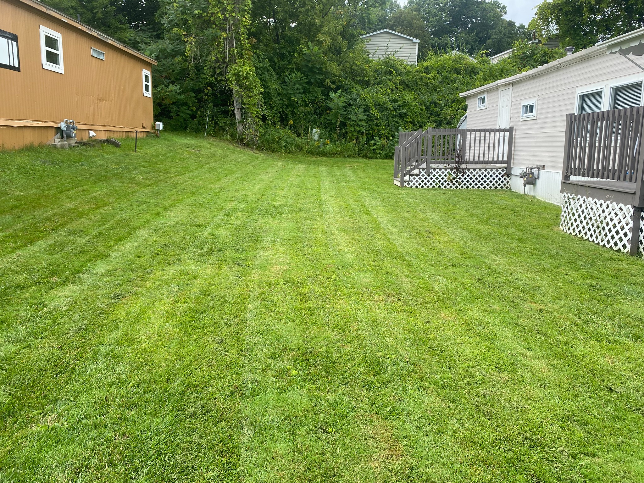 Freshly mowed grass alongside a residential property